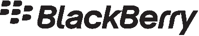 BlackBerry Accessory