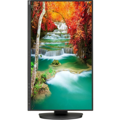 NEC Monitor