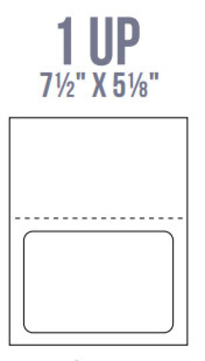 BCI Labels