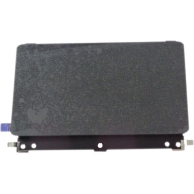 BCI Labels