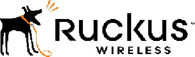 Ruckus Transceiver Modules