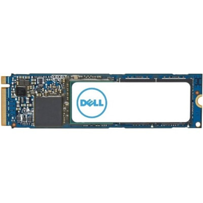 Dell Drive