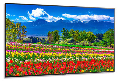 NEC Monitor