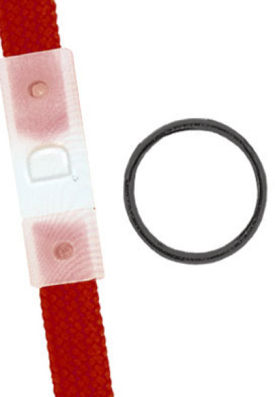 Brady Lanyard