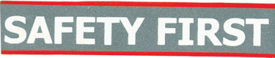 Brady Lanyard