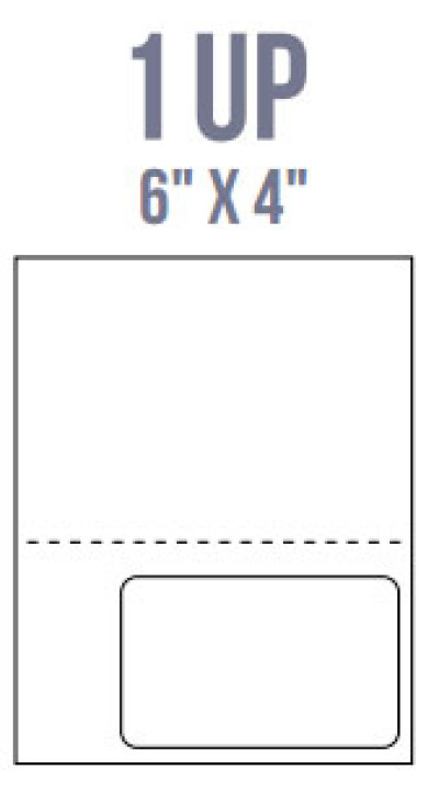 BCI Labels