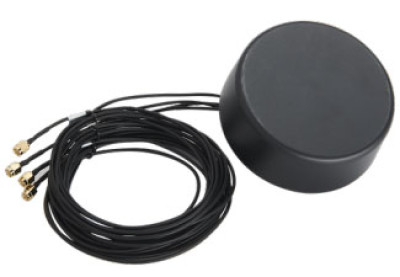 Zebra Antenna