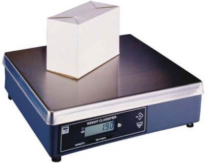 Brecknell Scale