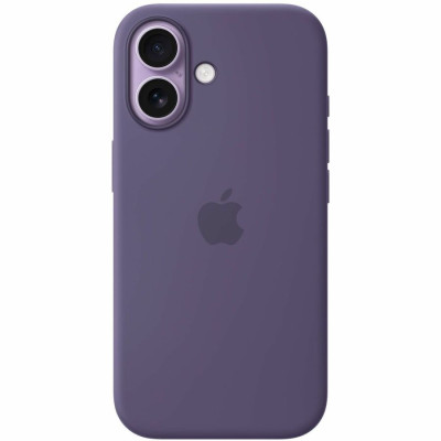 Apple Carrying and Protective Accessories