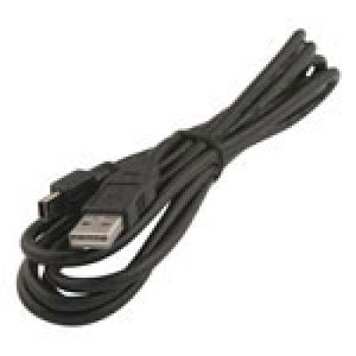 Wasp Cables, Connectors, and Adapters