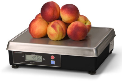 Brecknell 6720 Scale
