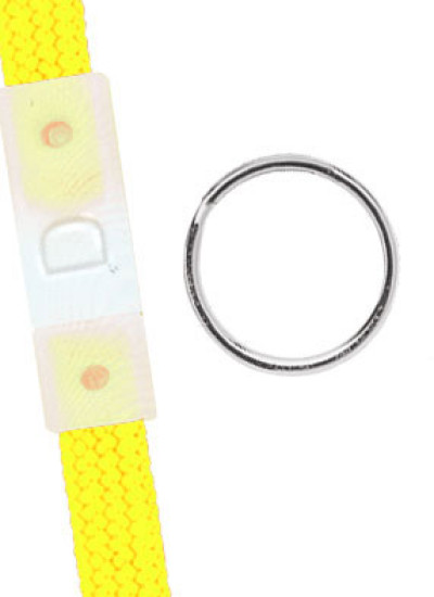 Brady Lanyard