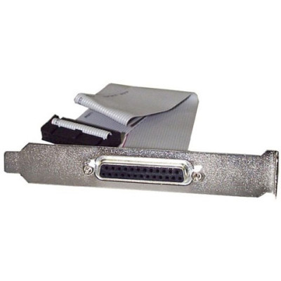 StarTech Accessory