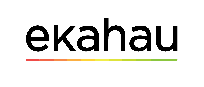 Ekahau Network Management Devices