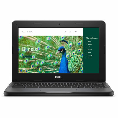 Dell Chromebook