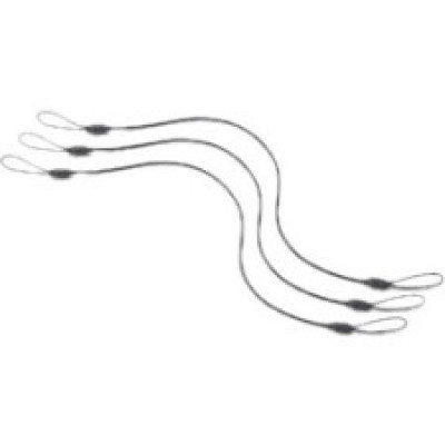 Zebra Stylus