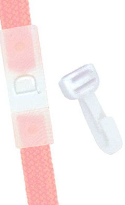 Brady Lanyard