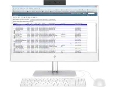 HP EliteOne 800 G5 23.8-in Healthcare Edition All-in-One Data Terminal