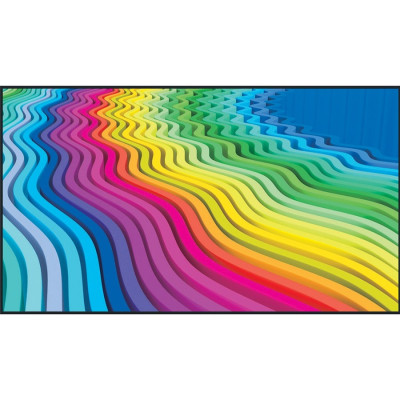 Panasonic Monitor