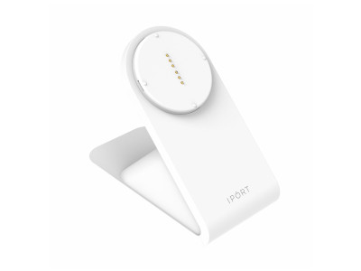 iPort Docks and Cradles