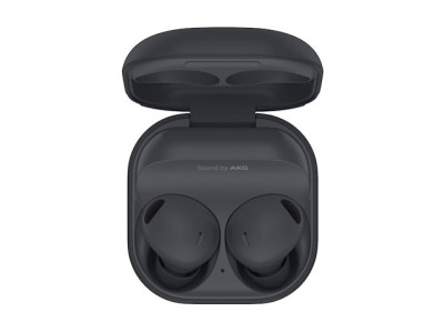 Samsung True Wireless Audio