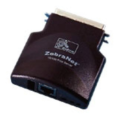 Zebra Accessory