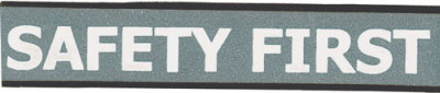 Brady Lanyard