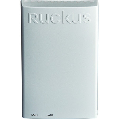 Ruckus Data Networking
