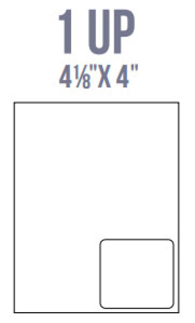 BCI Labels
