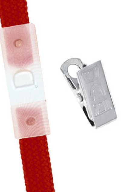 Brady Lanyard