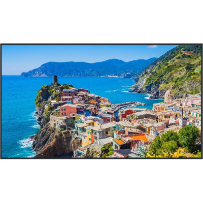 Panasonic Monitor