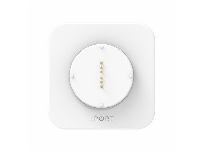 iPort Docks and Cradles