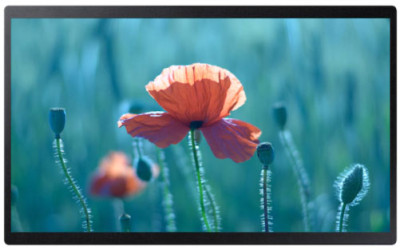 Samsung Monitor