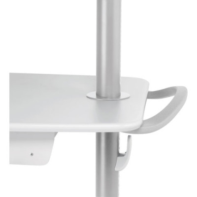 Ergotron Carrying and Protective Accessories