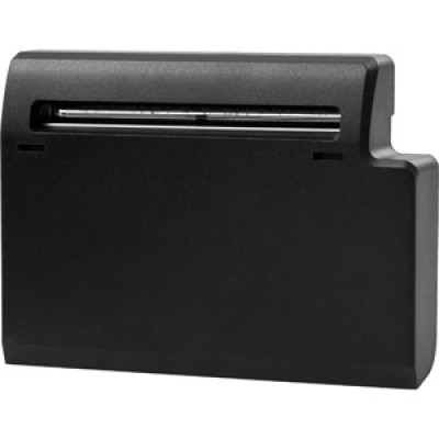 Wasp Accessory