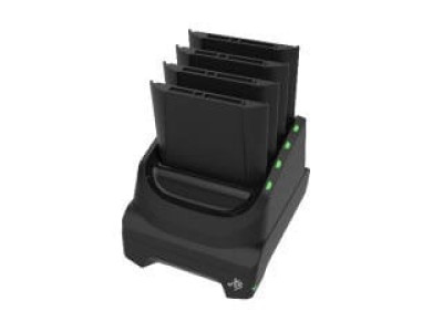 Zebra Docks and Cradles