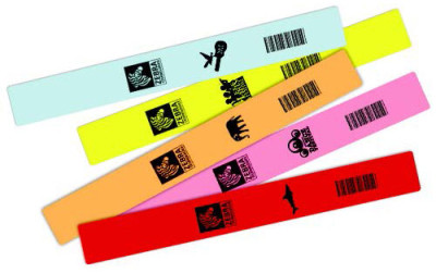 Zebra Z-Band Fun Wristbands
