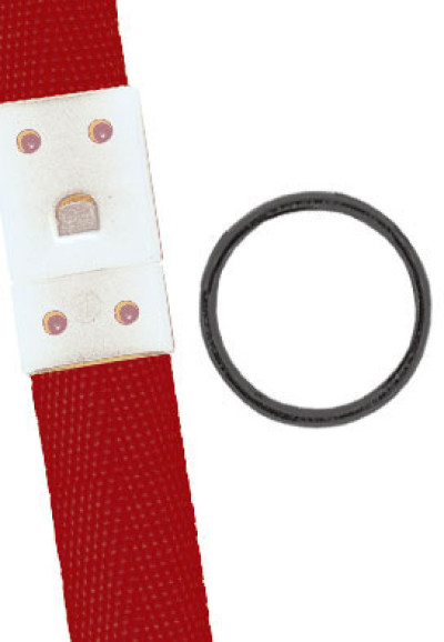 Brady Lanyard