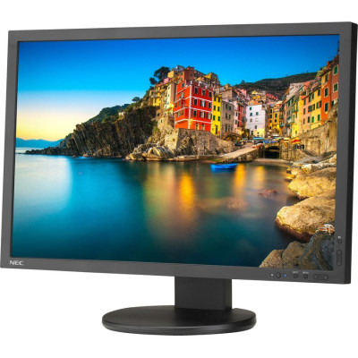 NEC Monitor