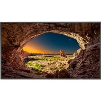 NEC Monitor