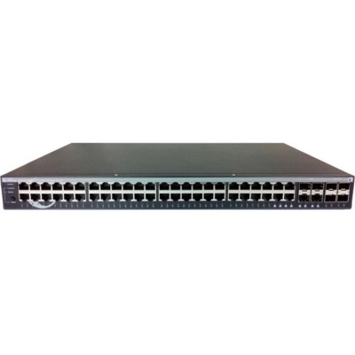 Amer Networks Data Networking