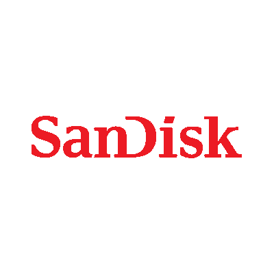 SanDisk Drive