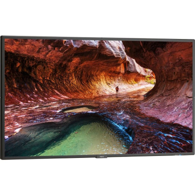 NEC Monitor