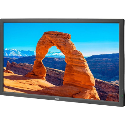 NEC Monitor