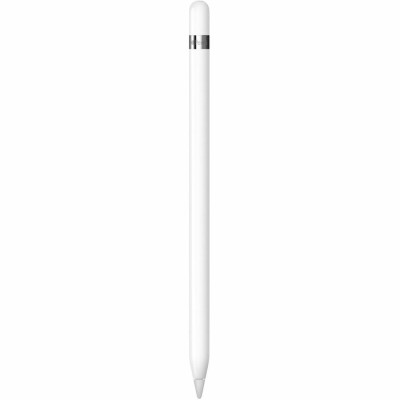 Apple Stylus