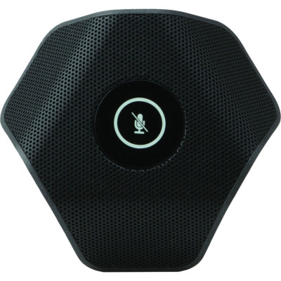 Crestron Video Intercom