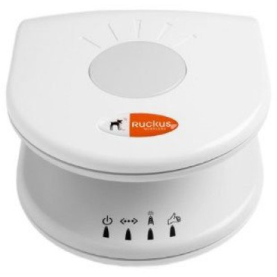 Ruckus Wireless Access Points