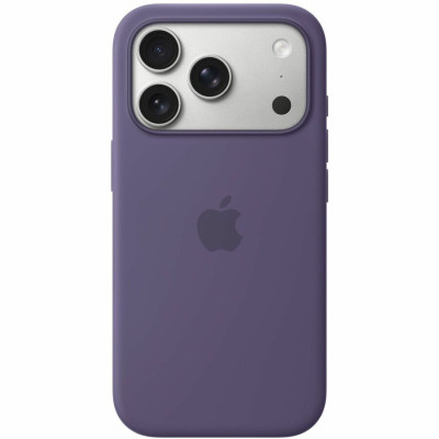 Apple Carrying and Protective Accessories