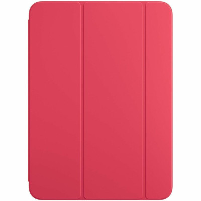 Apple Carrying and Protective Accessories