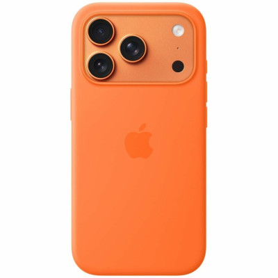 Apple Carrying and Protective Accessories